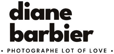 Logo Diane Barbier